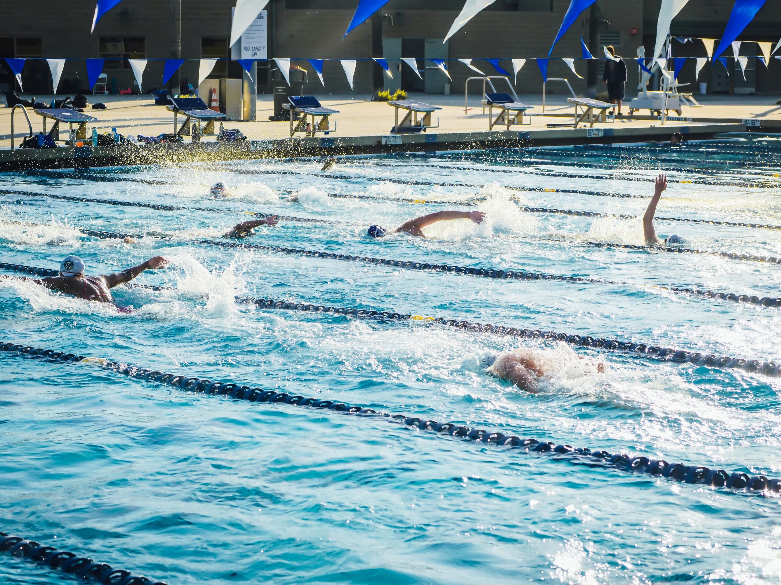 Athletes practicing in a sunlit outdoor swimming pool, showcasing dynamic swimming strokes.